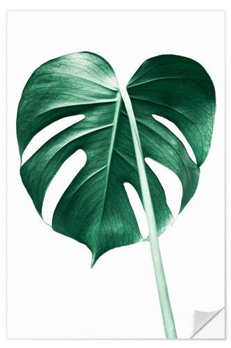 Selvklebende plakat Ensom Monstera