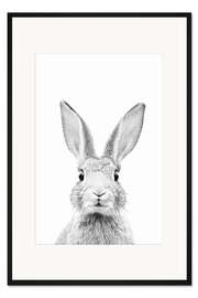 Gerahmter Kunstdruck Neugieriges Kaninchen