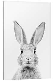 Magnettafel Neugieriges Kaninchen