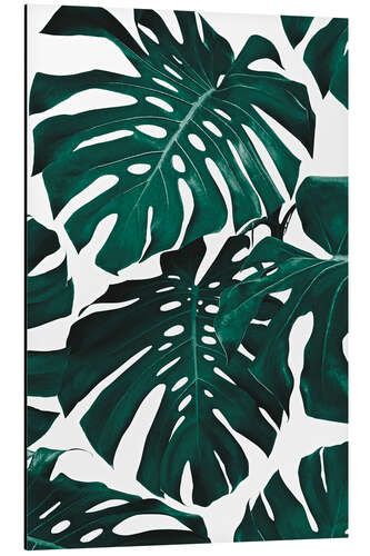 Aluminium print Monstera Leaves