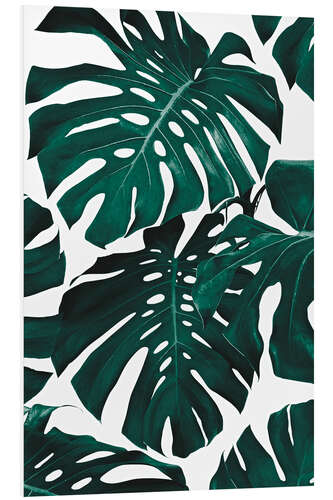 Tableau en PVC Feuilles de monstera