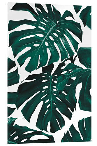 Gallery print Monstera Leaves