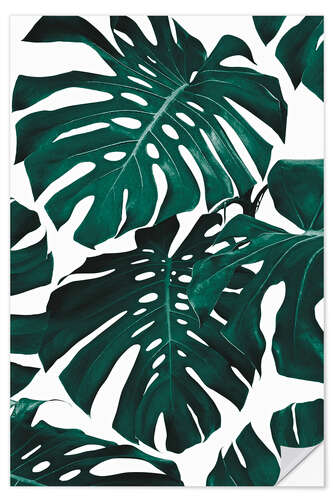 Selvklebende plakat Monstera blader