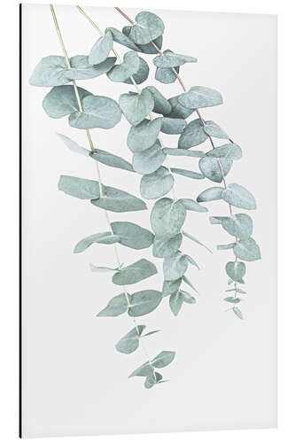 Tableau en aluminium Eucalyptus I