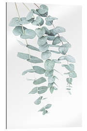 Gallery print Eucalyptus I