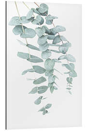 Magnettafel Eukalyptus I