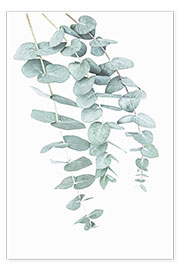 Wandbild  Eukalyptus I - Sisi And Seb
