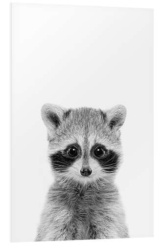 Foam board print Raccoon Baby