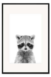 Gerahmter Kunstdruck Waschbärbaby