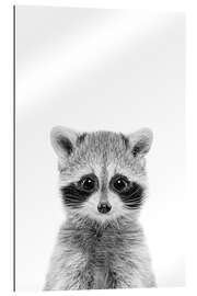 Gallery print Raccoon Baby