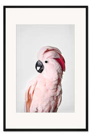 Gerahmter Kunstdruck Rosafarbener Papagei