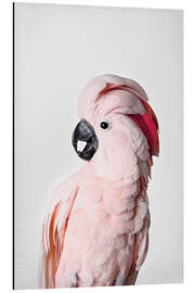 Magnettafel Rosafarbener Papagei