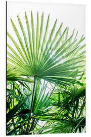 Magnettafel Palmenblätter I