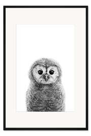 Gerahmter Kunstdruck Junger Kauz