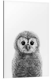 Magnettafel Junger Kauz