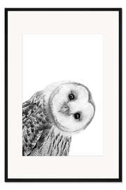 Gerahmter Kunstdruck Schneeeule