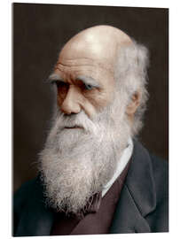 Acrylic print Charles Darwin