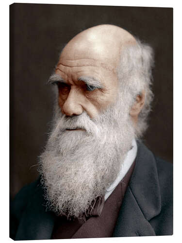 Lienzo Charles Darwin