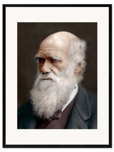Inramat konsttryck Charles Darwin