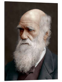 Galleritryk Charles Darwin