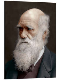 Magnettafel Charles Darwin