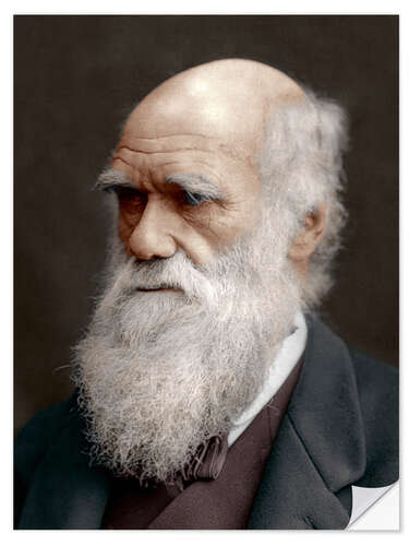 Sisustustarra Charles Darwin