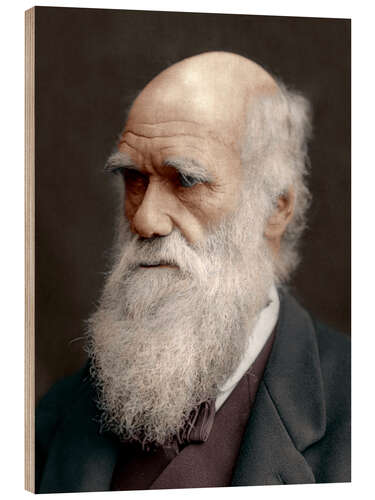 Cuadro de madera Charles Darwin