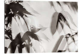 Gallery print Leaves 3