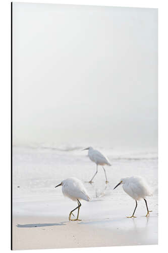 Tableau en aluminium Marcheurs sur la plage