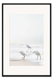 Gerahmter Kunstdruck Strandläufer