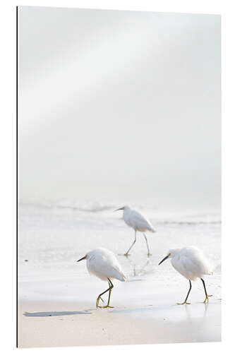 Galleriprint Strandläufer