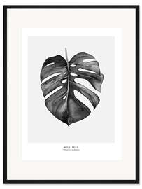 Gerahmter Kunstdruck Monsterablatt Illustration