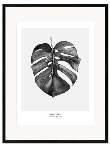 Ingelijste kunstdruk Monster leaf illustration