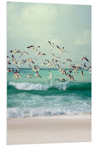 Foam board print Seagulls on the beach