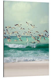 Magnettafel Möwen am Strand