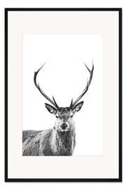 Gerahmter Kunstdruck Rothirsch
