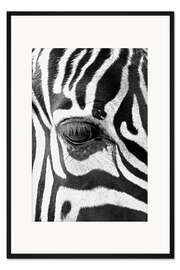 Gerahmter Kunstdruck Auge des Zebras
