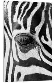 Magnettafel Auge des Zebras