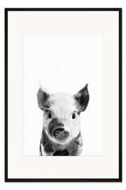 Gerahmter Kunstdruck Junges Ferkel