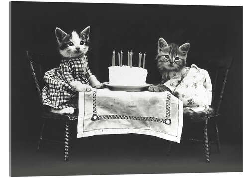 Acrylic print Kitten birthday, vintage