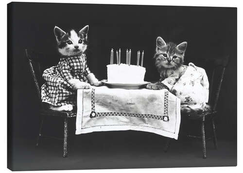 Stampa su tela Compleanno di gattino, vintage