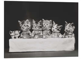 Tableau en aluminium Chaton à table, vintage