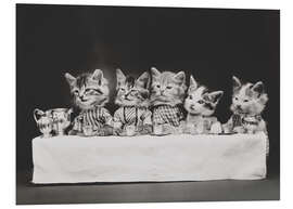 Foam board print Kitten at the table, vintage