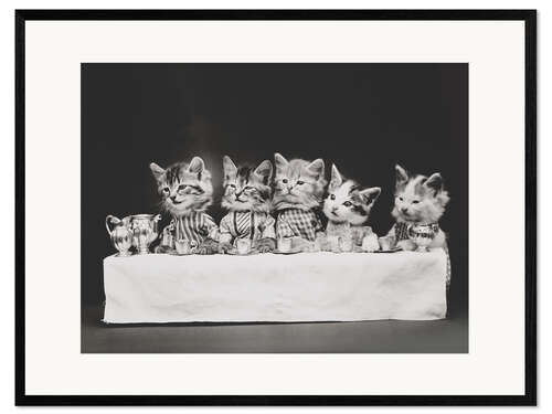 Framed art print Kitten at the table, vintage