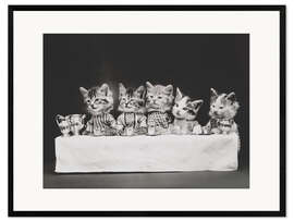 Inramat konsttryck Kitten to table, vintage