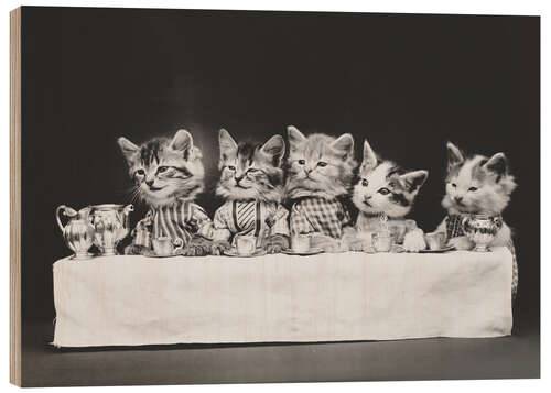Hout print Kitten to table, vintage