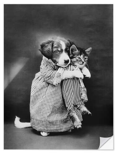 Wandsticker Hund und Katz, vintage