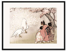 Gerahmter Kunstdruck Der weiße Pfau