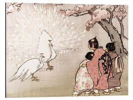 Magnettafel Der weiße Pfau