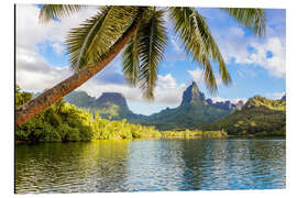 Tableau en aluminium Île tropicale Moorea